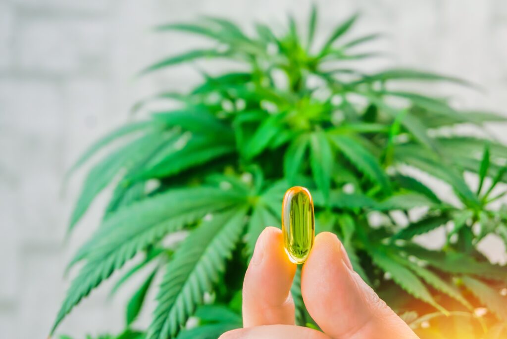 Gélules de CBD